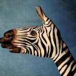 BeideHands Facebook WOW! Amazing 479975_558646347484098_1516482340_n