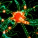 TalentenApp
